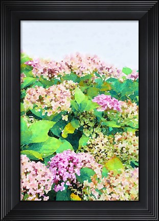 Framed Garden Beauties I Print