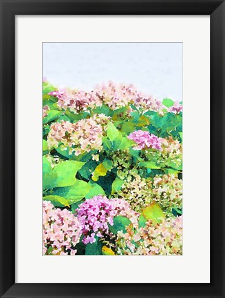 Framed Garden Beauties I Print