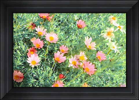 Framed Daisy Field I Print