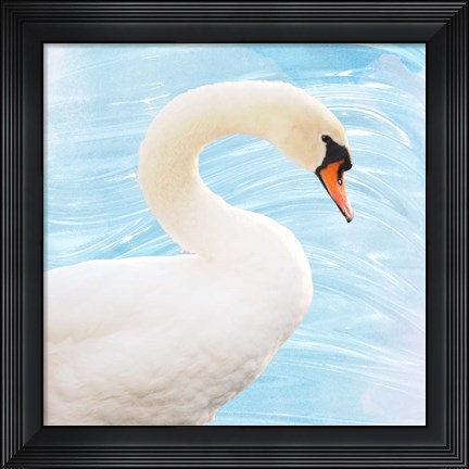 Framed White Swan Print