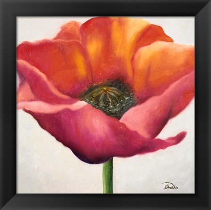 Framed Poppy Flower I Print