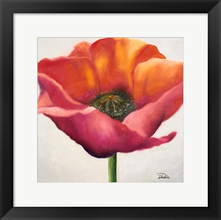 Framed Poppy Flower I Print