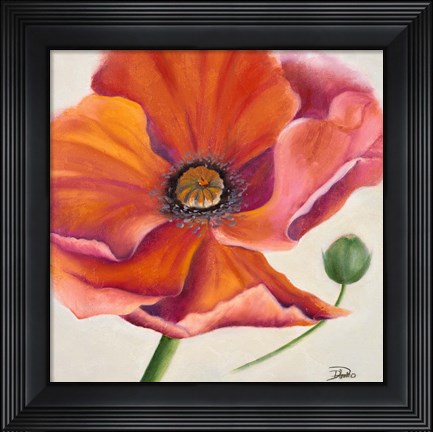 Framed Poppy Flower II Print