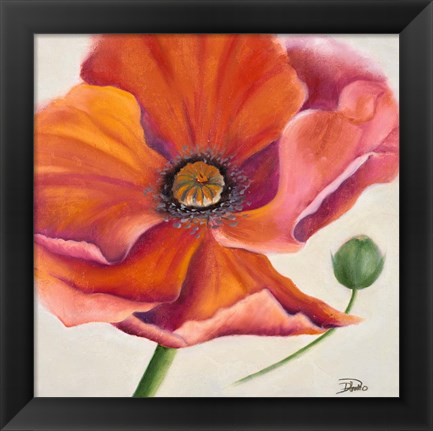 Framed Poppy Flower II Print