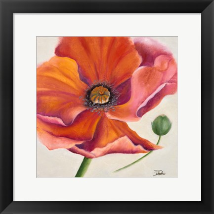 Framed Poppy Flower II Print