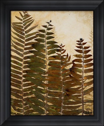 Framed Ferns I Print