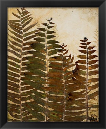 Framed Ferns I Print