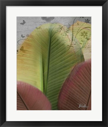 Framed Butterfly Palm I Print