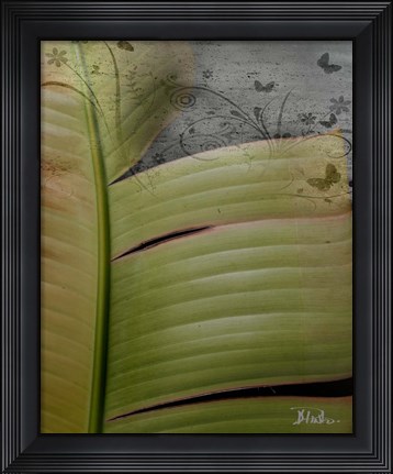 Framed Butterfly Palm II Print
