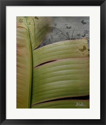 Framed Butterfly Palm II Print