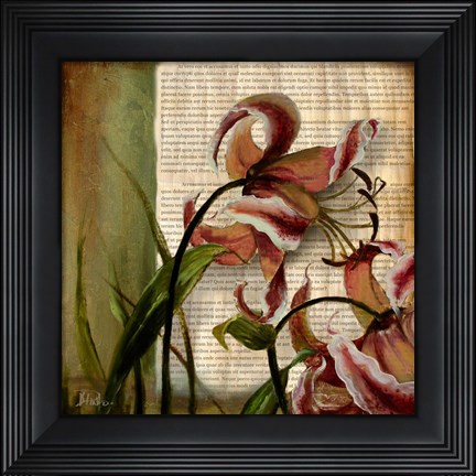 Framed Vintage Studio II Print