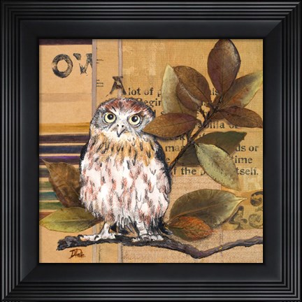 Framed Little Owls I Print