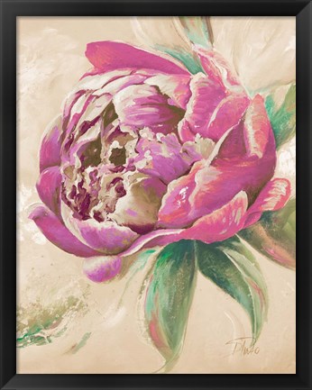 Framed Beautiful Bouquet of Peonies in Pink II Print