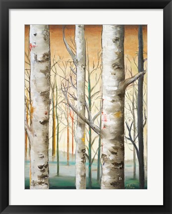 Framed Birch Forest I Print