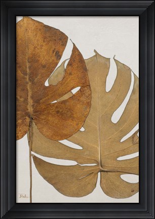 Framed Dry Balazo II Print