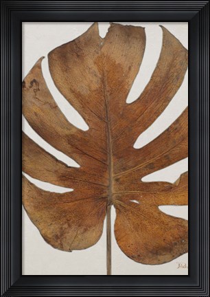 Framed Dry Balazo I Print