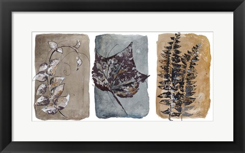 Framed Watercolor Sepia Leaves I Print