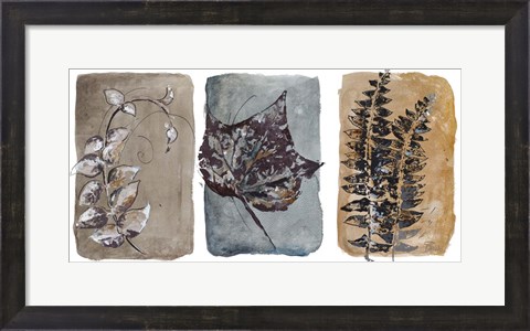 Framed Watercolor Sepia Leaves I Print