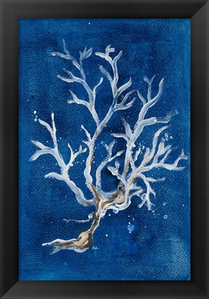 Framed White Corals I Print