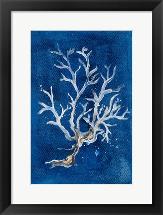 Framed White Corals I Print