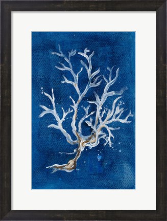 Framed White Corals I Print