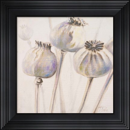 Framed Poppy Seeds I Print