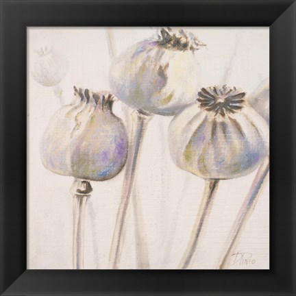 Framed Poppy Seeds I Print