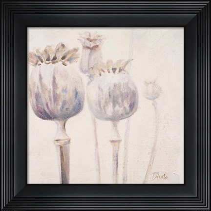 Framed Poppy Seeds II Print