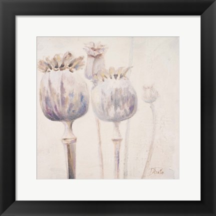 Framed Poppy Seeds II Print