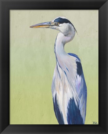 Framed Blue Heron on Green II Print