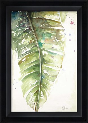 Framed Watercolor Plantain Leaves I Print