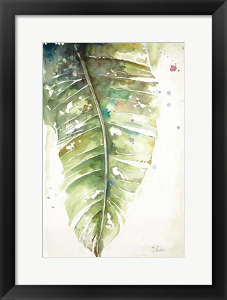 Framed Watercolor Plantain Leaves I Print