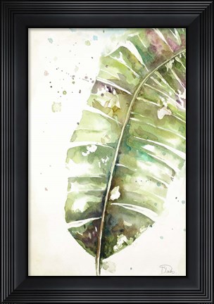 Framed Watercolor Plantain Leaves II Print