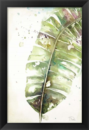 Framed Watercolor Plantain Leaves II Print