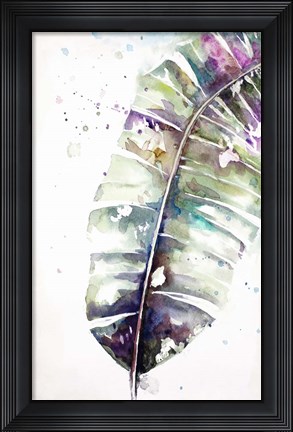Framed Watercolor Plantain Leaves with Purple II Print
