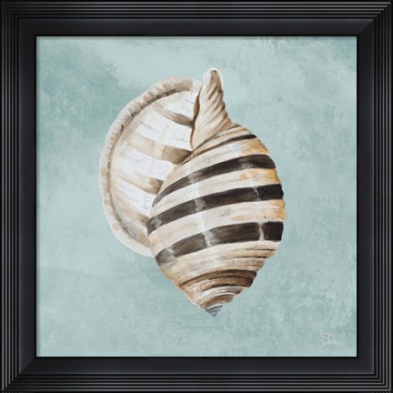 Framed Modern Shell on Teal I Print