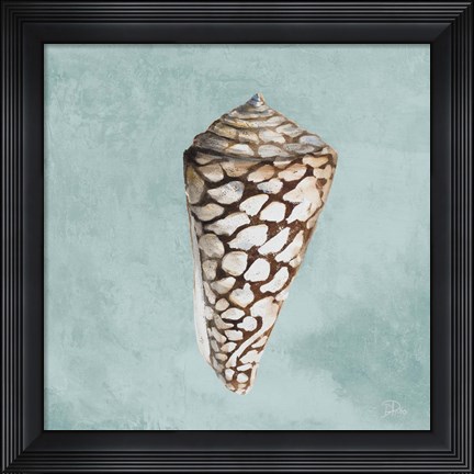 Framed Modern Shell on Teal II Print