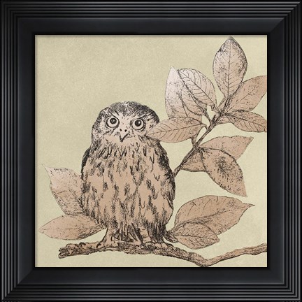 Framed Neutral Little Owls I Print