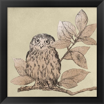 Framed Neutral Little Owls I Print