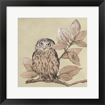 Framed Neutral Little Owls I Print