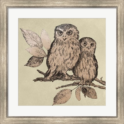 Framed Neutral Little Owls II Print