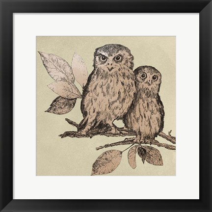 Framed Neutral Little Owls II Print