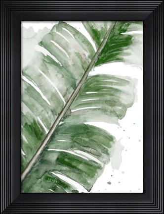 Framed Palma Fresca Close Up Print