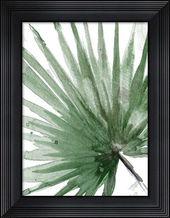 Framed Palma Verde Close Up Print