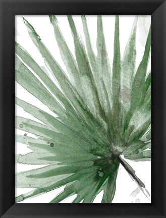 Framed Palma Verde Close Up Print