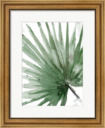 Framed Palma Verde Close Up Print