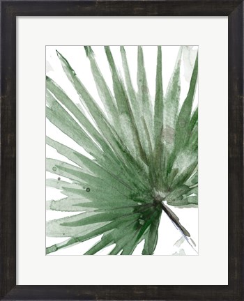 Framed Palma Verde Close Up Print