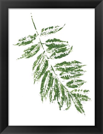 Framed Tropical Leaf Stamp Branch Print