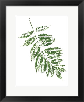 Framed Tropical Leaf Stamp Branch Print