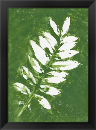 Framed Tropical Leaf Branch Stamp White Print